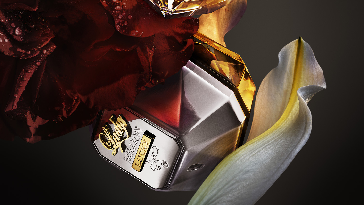 Visuels olfactifs pour Paco Rabanne Parfums, projet de direction artistique par Irène Saint-Louis